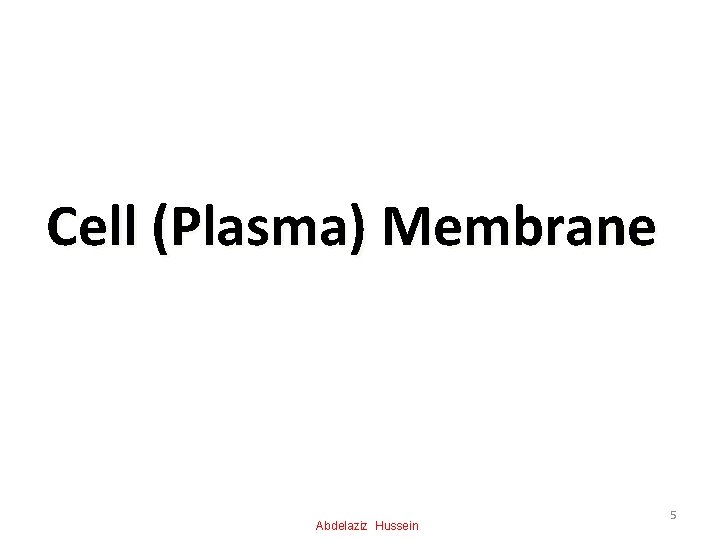 Cell (Plasma) Membrane Abdelaziz Hussein 5 