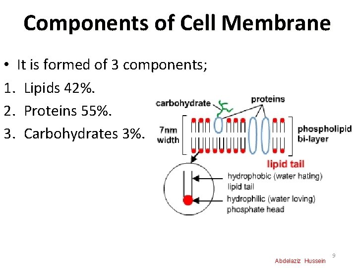 Components of Cell Membrane • It is formed of 3 components; 1. Lipids 42%.