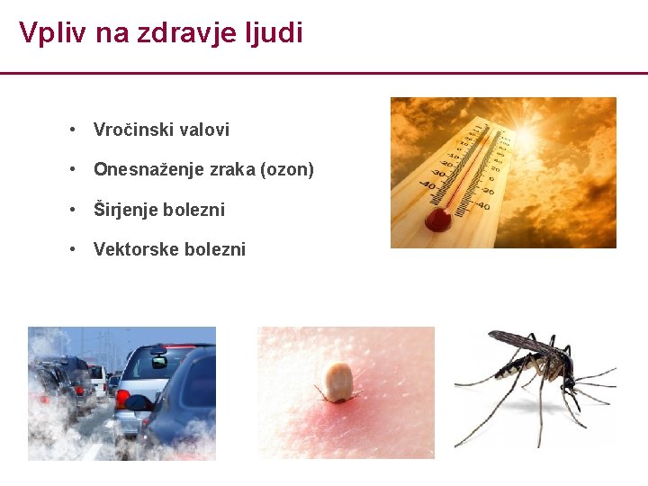 Vpliv na zdravje ljudi • Vročinski valovi • Onesnaženje zraka (ozon) • Širjenje bolezni
