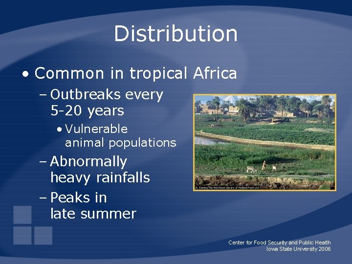Distribution • Common in tropical Africa – Outbreaks every 5 -20 years • Vulnerable
