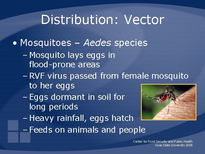 Distribution: Vector • Mosquitoes – Aedes species – Mosquito lays eggs in flood-prone areas