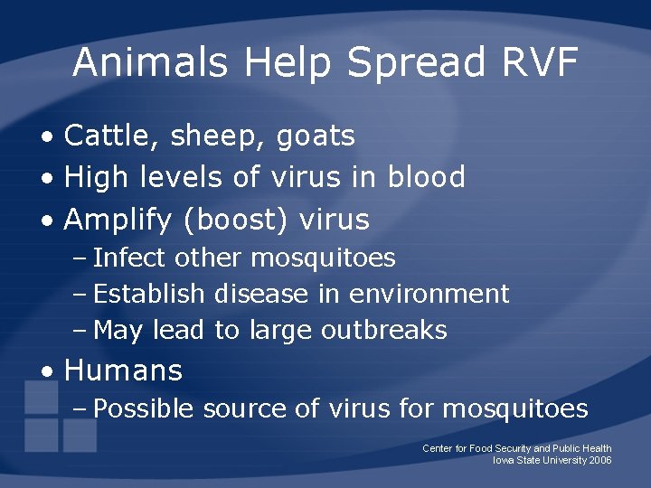 Animals Help Spread RVF • Cattle, sheep, goats • High levels of virus in