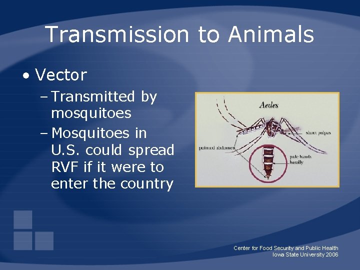 Transmission to Animals • Vector – Transmitted by mosquitoes – Mosquitoes in U. S.