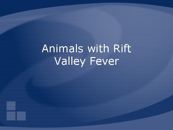 Animals with Rift Valley Fever 