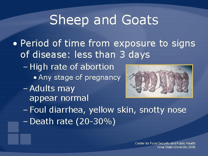 Sheep and Goats • Period of time from exposure to signs of disease: less