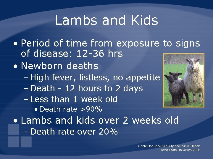 Lambs and Kids • Period of time from exposure to signs of disease: 12