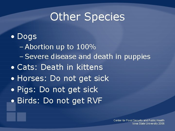 Other Species • Dogs – Abortion up to 100% – Severe disease and death