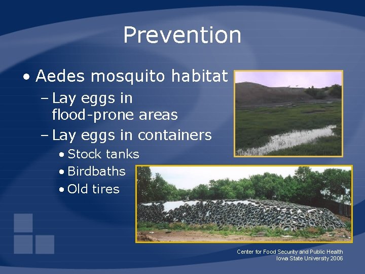 Prevention • Aedes mosquito habitat – Lay eggs in flood-prone areas – Lay eggs