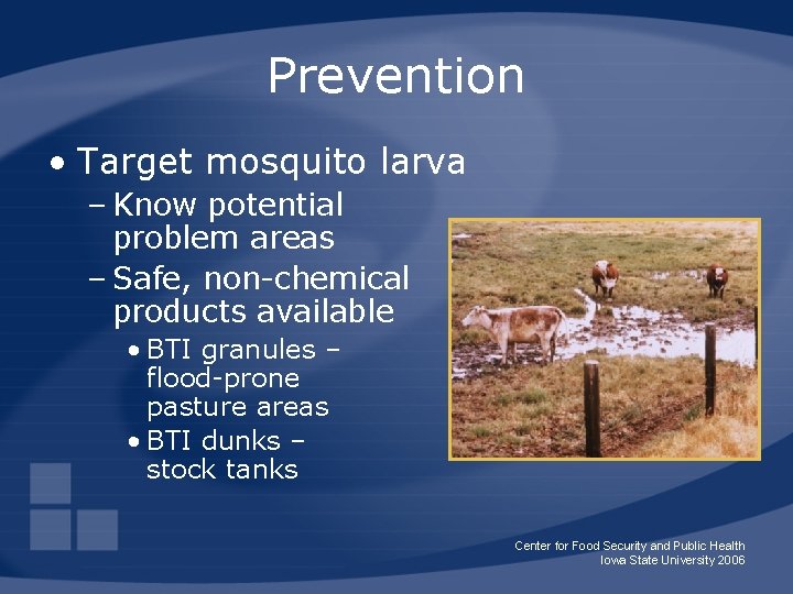 Prevention • Target mosquito larva – Know potential problem areas – Safe, non-chemical products