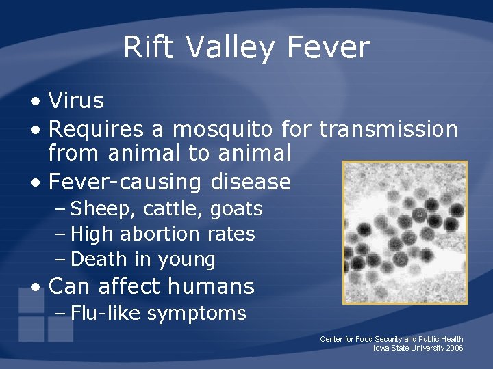 Rift Valley Fever • Virus • Requires a mosquito for transmission from animal to