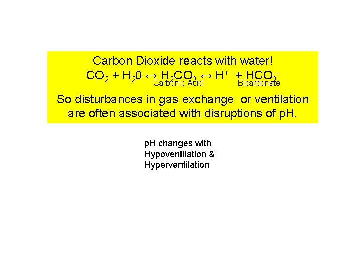 Carbon Dioxide reacts with water! CO 2 + H 20 ↔ H 2 CO