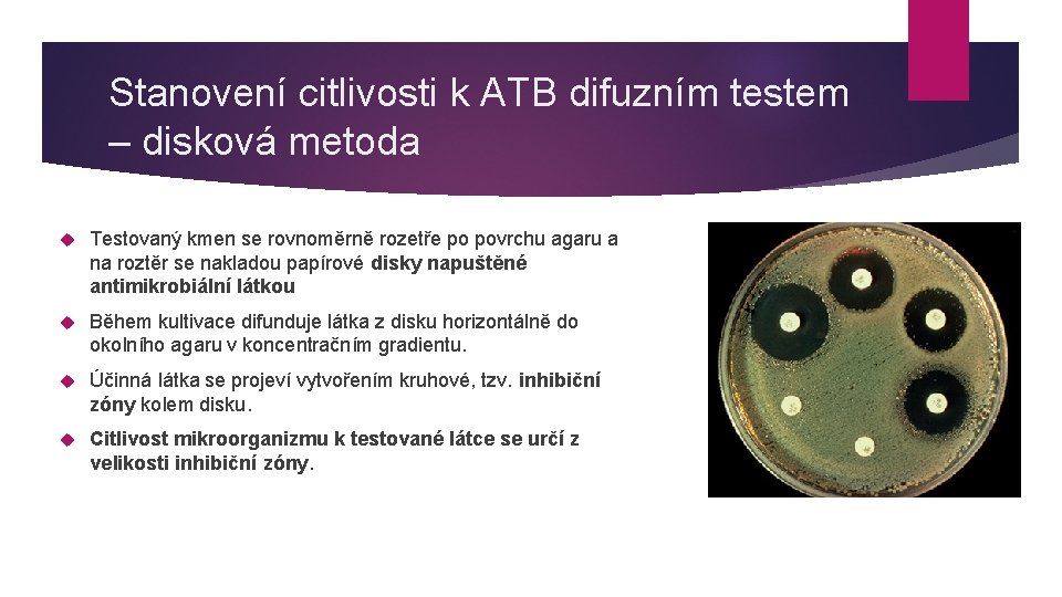 Stanovení citlivosti k ATB difuzním testem – disková metoda Testovaný kmen se rovnoměrně rozetře