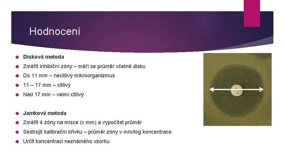 Hodnocení Disková metoda Změřit inhibiční zóny – měří se průměr včetně disku Do 11