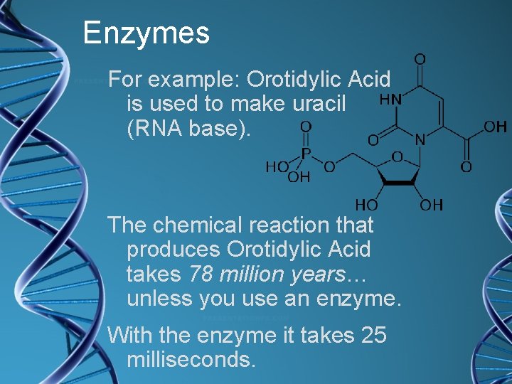Enzymes For example: Orotidylic Acid is used to make uracil (RNA base). The chemical