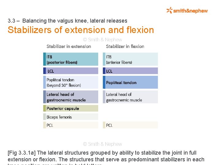 3. 3 – Balancing the valgus knee, lateral releases Stabilizers of extension and flexion