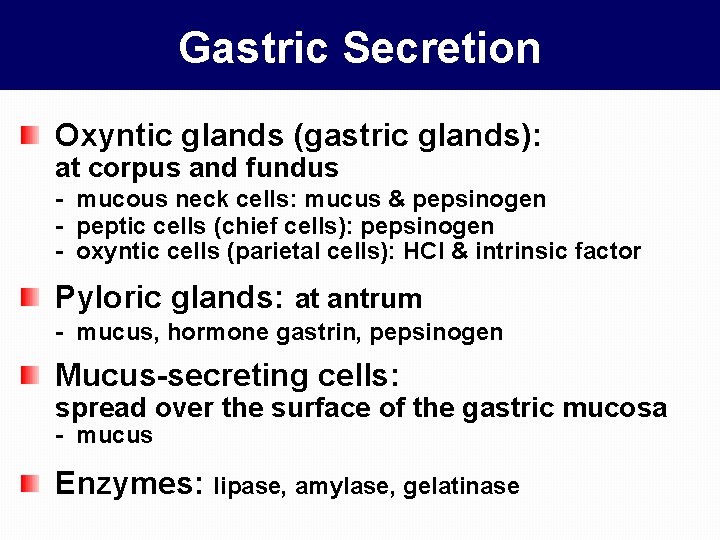 Gastric Secretion Oxyntic glands (gastric glands): at corpus and fundus - mucous neck cells: