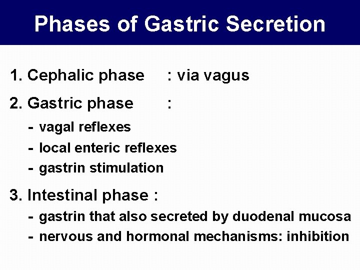 Phases of Gastric Secretion 1. Cephalic phase : via vagus 2. Gastric phase :