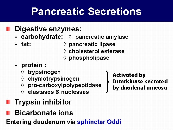 Pancreatic Secretions Digestive enzymes: - carbohydrate: ◊ pancreatic amylase - fat: ◊ pancreatic lipase