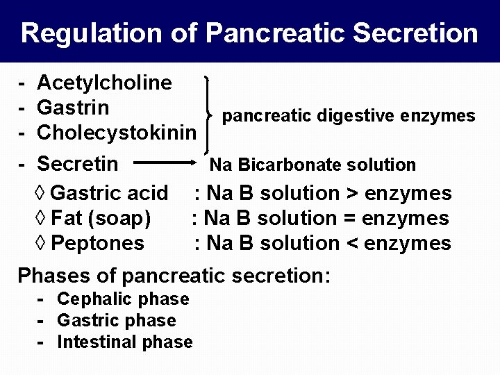 Regulation of Pancreatic Secretion - Acetylcholine - Gastrin - Cholecystokinin - Secretin ◊ Gastric