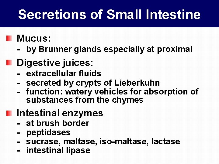 Secretions of Small Intestine Mucus: - by Brunner glands especially at proximal Digestive juices: