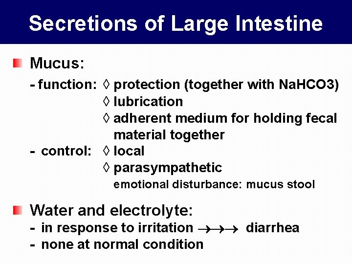 Secretions of Large Intestine Mucus: - function: ◊ protection (together with Na. HCO 3)