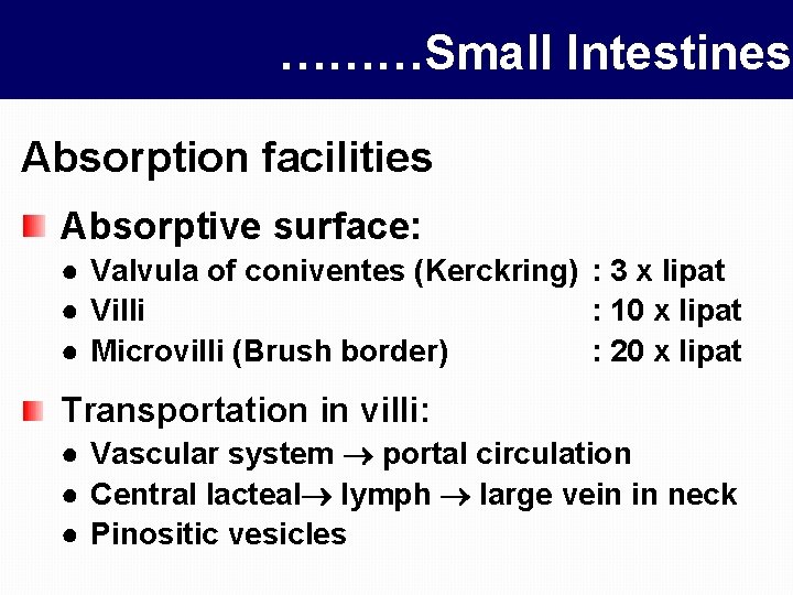 ………Small Intestines Absorption facilities Absorptive surface: ● Valvula of coniventes (Kerckring) : 3 x