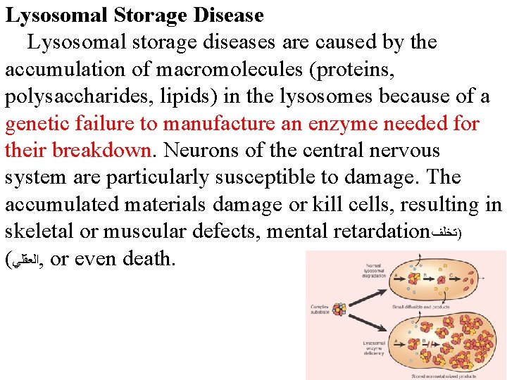 Lysosomal Storage Disease Lysosomal storage diseases are caused by the accumulation of macromolecules (proteins,