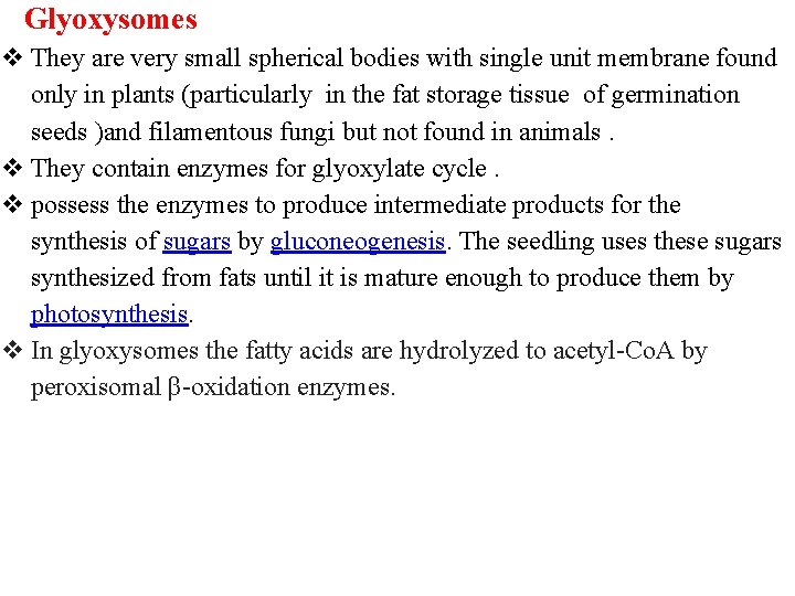 Glyoxysomes v They are very small spherical bodies with single unit membrane found only