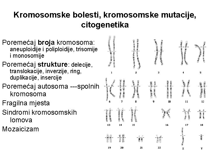 Kromosomske bolesti, kromosomske mutacije, citogenetika Poremećaj broja kromosoma: aneuploidije i poliploidije, trisomije i monosomije