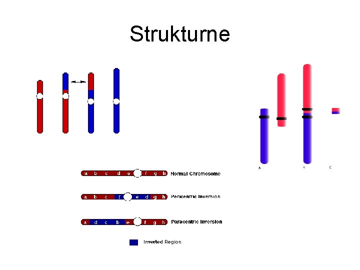Strukturne Strukturne