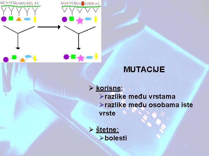 MUTACIJE Ø korisne: Ørazlike među vrstama Ørazlike među osobama iste vrste Ø štetne: Øbolesti MUTACIJE Ø korisne: Ørazlike među vrstama Ørazlike među osobama iste vrste Ø štetne: Øbolesti