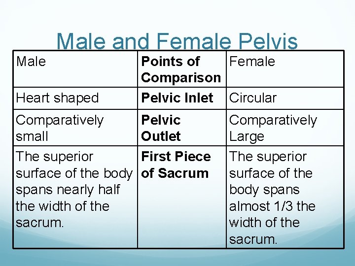 Male and Female Pelvis Heart shaped Comparatively small The superior surface of the body