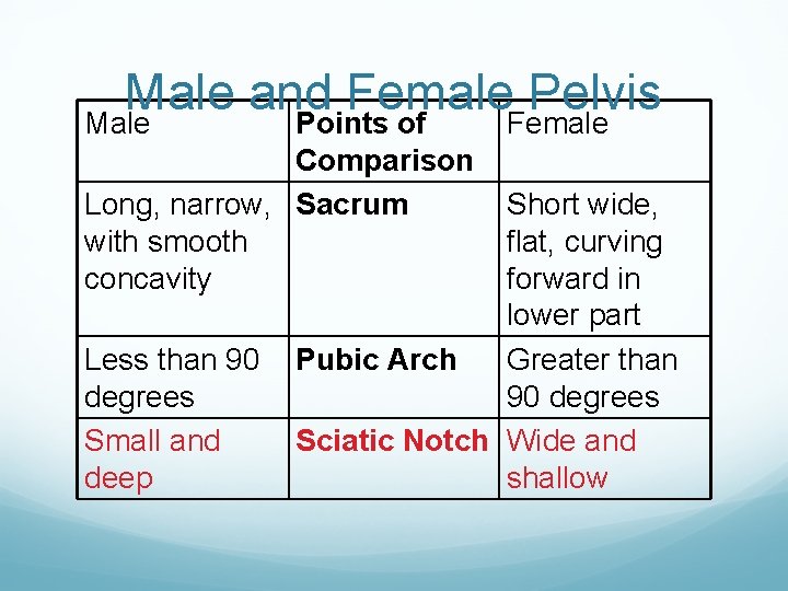 Male and Female Pelvis Male Points of Female Comparison Long, narrow, Sacrum with smooth