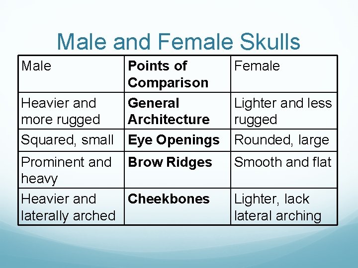Male and Female Skulls Male Points of Comparison Heavier and General more rugged Architecture