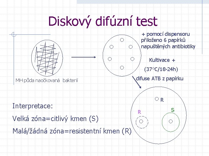 Diskový difúzní test + pomocí dispensoru přiloženo 6 papírků napuštěných antibiotiky Kultivace + (37°C/18