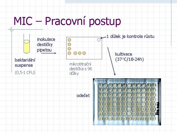 MIC – Pracovní postup 1 důlek je kontrola růstu inokulace destičky pipetou bakteriální suspense