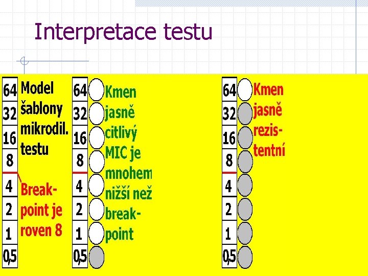 Interpretace testu 