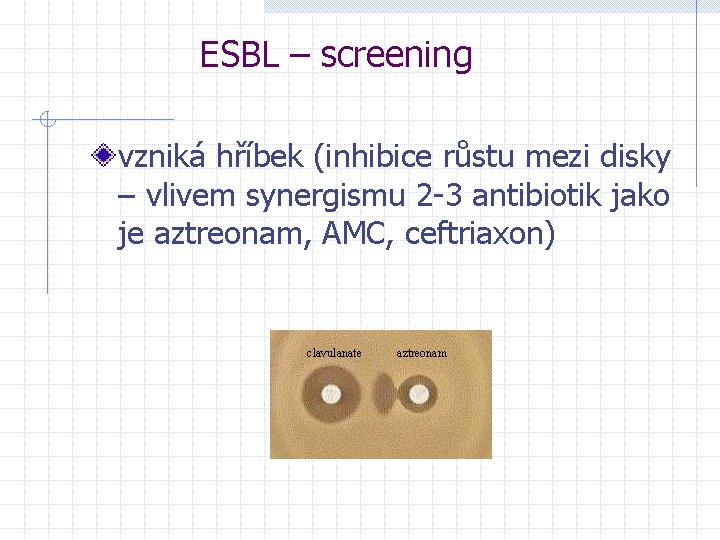 ESBL – screening vzniká hříbek (inhibice růstu mezi disky – vlivem synergismu 2 -3