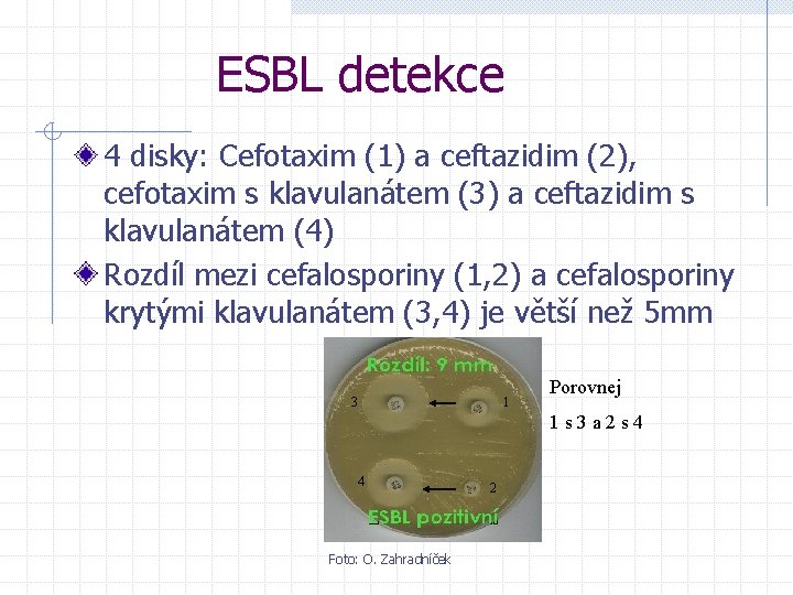 ESBL detekce 4 disky: Cefotaxim (1) a ceftazidim (2), cefotaxim s klavulanátem (3) a