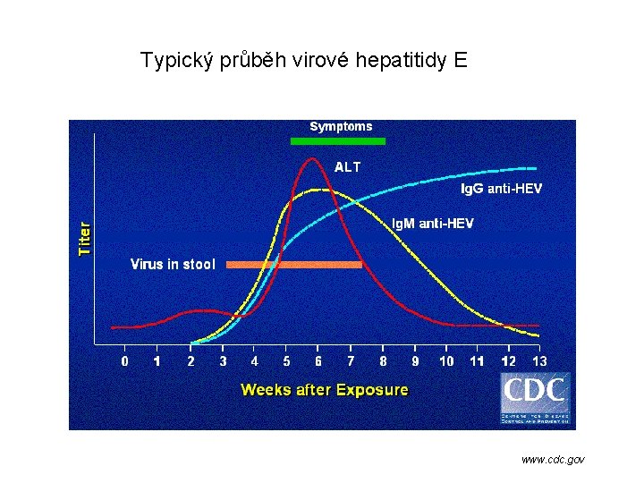 Typický průběh virové hepatitidy E www. cdc. gov 