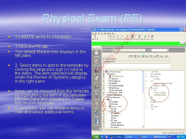 Physical Exam (PE) § To add PE terms to a template: § § 1