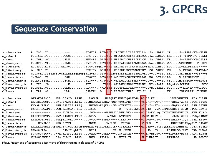 3. GPCRs Sequence Conservation A_adenosine A_beta-1 A_beta A_rhodopsin B_Glucagon B_Pituitary B_Parathyroid B_Vasoactive C_Gamma-aminob C_Metabotropic