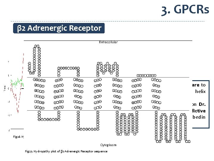 3. GPCRs β 2 Adrenergic Receptor MEMSAT software to predict alpha helix transmembrane regions