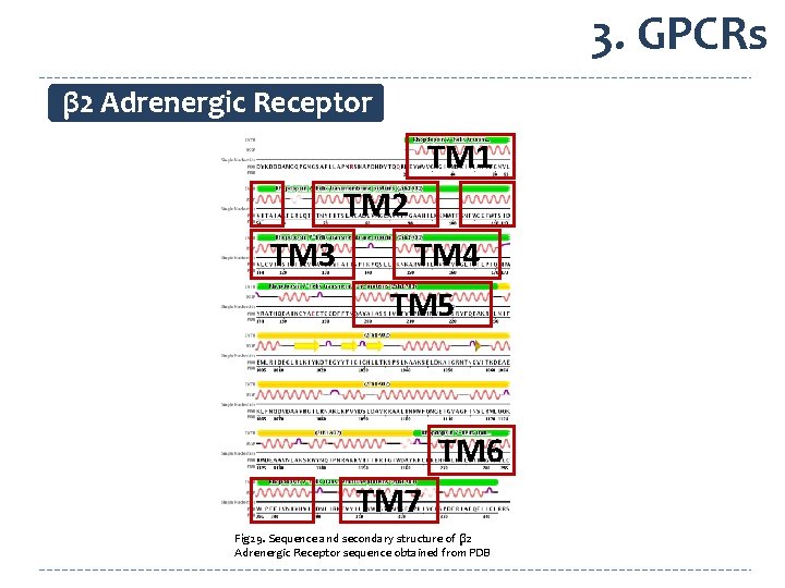 3. GPCRs β 2 Adrenergic Receptor TM 1 TM 2 TM 3 TM 4