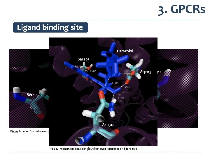 3. GPCRs Ligand binding site Carazolol Ser 203 Asp 113 Asn 312 Ser 203