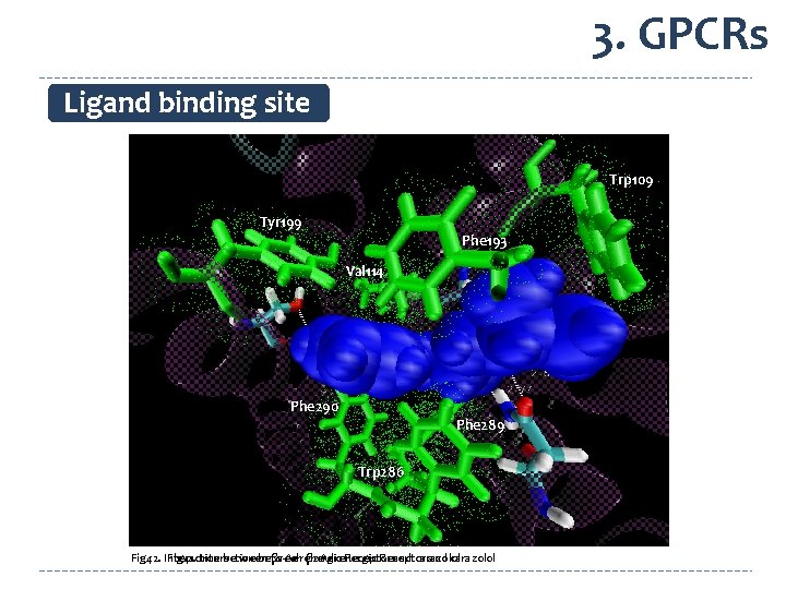 3. GPCRs Ligand binding site Trp 109 Tyr 199 Phe 193 Val 114 Trp