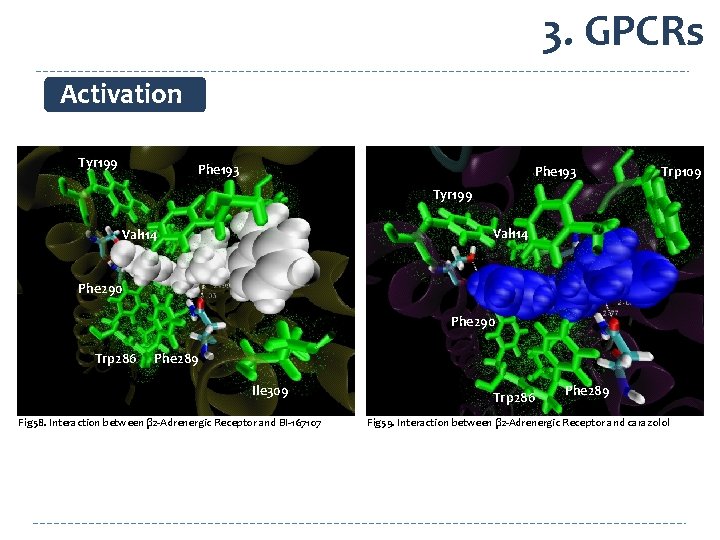 3. GPCRs Activation Tyr 199 Phe 193 Trp 109 Tyr 199 Val 114 Phe