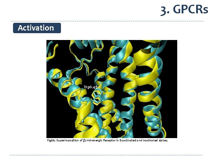 3. GPCRs Activation Trp 6. 48 Fig 66. Superimposition of β 2 Adrenergic Receptor