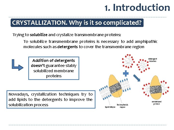 1. Introduction CRYSTALLIZATION. Why is it so complicated? Trying to solubilize and crystalize transmembrane