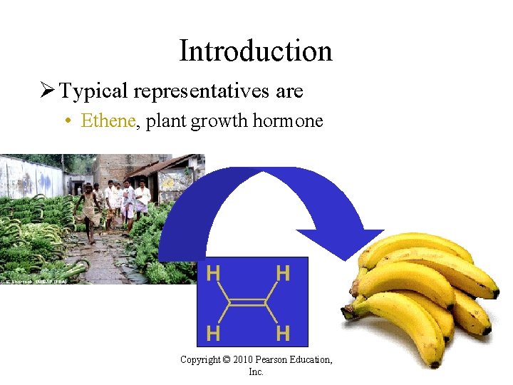 Introduction Ø Typical representatives are • Ethene, plant growth hormone Copyright © 2010 Pearson Introduction Ø Typical representatives are • Ethene, plant growth hormone Copyright © 2010 Pearson